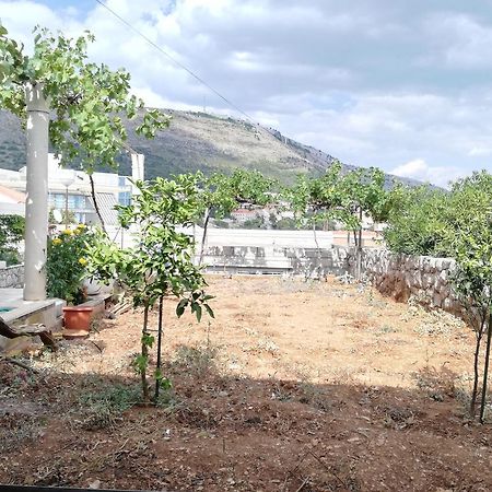 Apartment Vera Dubrovnik Ngoại thất bức ảnh